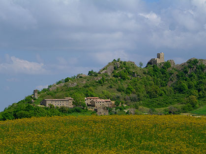 viabilita